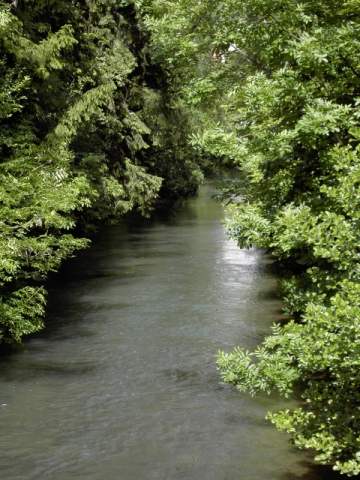 Ebermannstadt: Blick auf die Wiesent (Bild 10021)