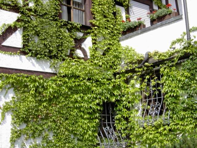 Streitberg: Hotel / Restaurant Altes Kurhaus (Bild 20013)