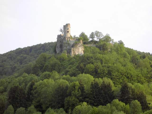 Streitberg: Ruine Neideck (Bild 20024)