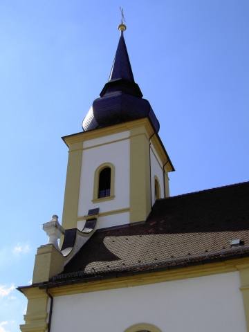 Hollfeld: Katholische Stadtpfarrkirche "Mari Himmelfahrt" (Bild 50005)