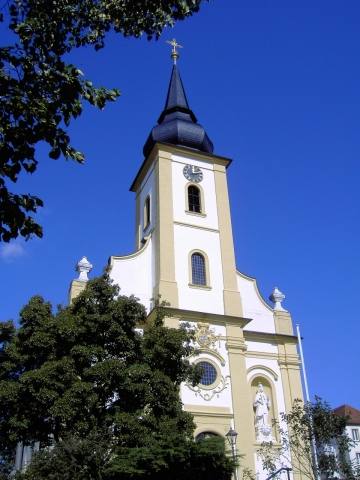 Hollfeld: Katholische Stadtpfarrkirche "Mariä Himmelfahrt" (Bild 50006)