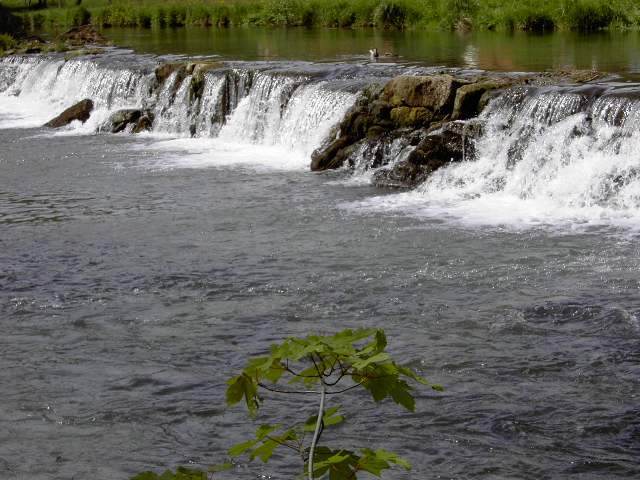 von Streitberg nach Muggendorf: Das Wiesent-Wehr beim Streitberger Freibad (Bild 61005)