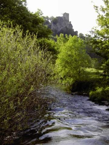 von Streitberg nach Muggendorf: Die Wiesent, im Hintergrund die Ruine Neideck (Bild 61016)