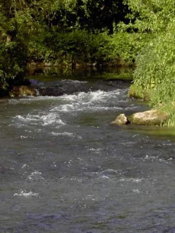 von Streitberg nach Muggendorf: Die Wiesent, mal reiend ... (Bild 61020)