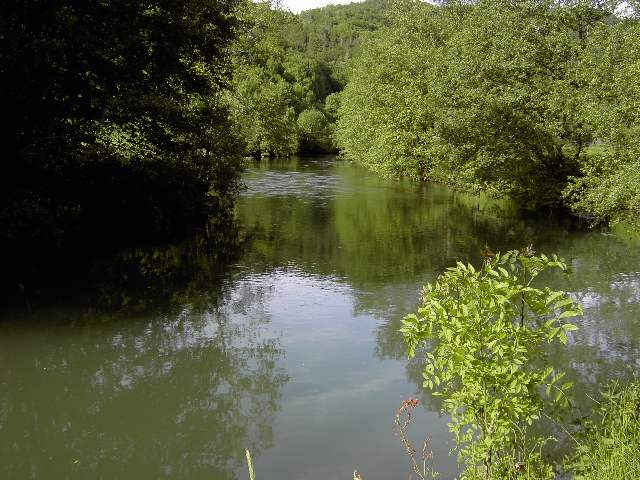 von Streitberg nach Muggendorf: Die Wiesent, mal still (Bild 61021)