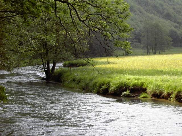 von Muggendorf zur Sachsenmhle: Wanderung an der Wiesent (Bild 62009)