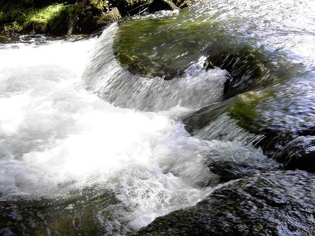 von Muggendorf zur Sachsenmhle: Wanderung an der Wiesent (Bild 62012)