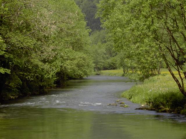 von Muggendorf zur Sachsenmhle: Wanderung an der Wiesent (Bild 62016)