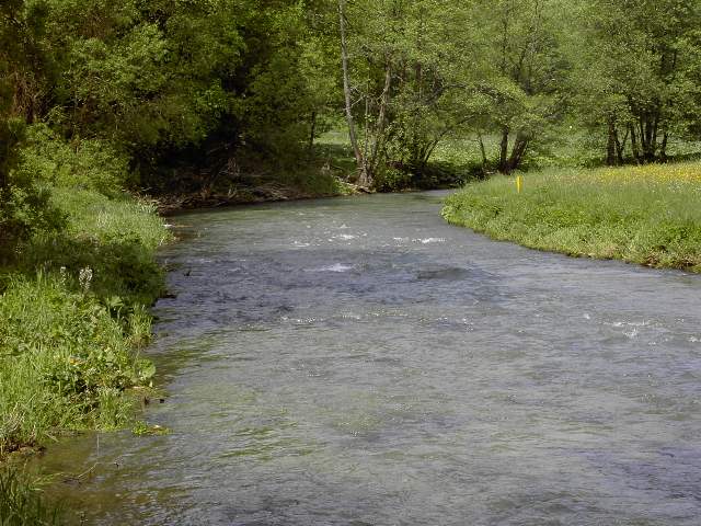 von Muggendorf zur Sachsenmhle: Wanderung an der Wiesent (Bild 62018)