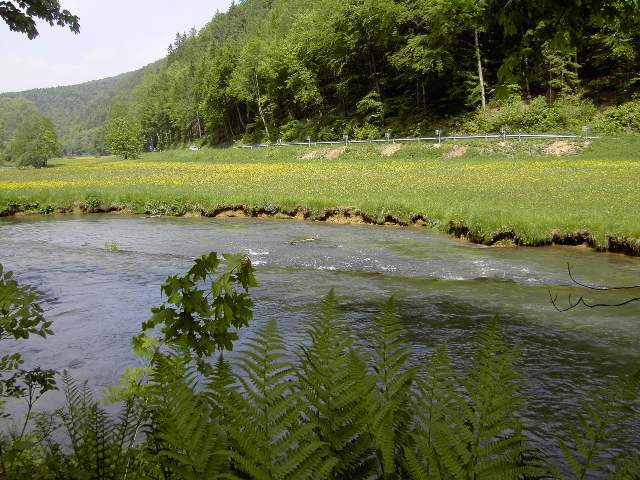 von Muggendorf zur Sachsenmhle: Wanderung an der Wiesent (Bild 62020)