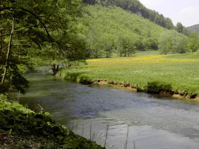 von Muggendorf zur Sachsenmhle: Wanderung an der Wiesent (Bild 62021)