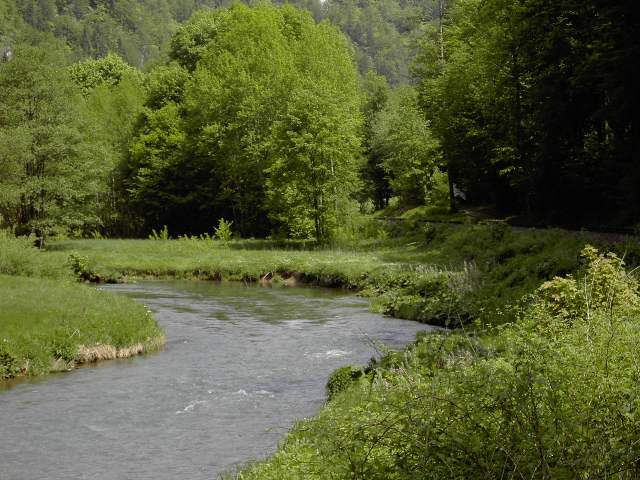 von Muggendorf zur Sachsenmhle: Wanderung an der Wiesent (Bild 62022)