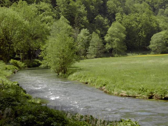 von Muggendorf zur Sachsenmhle: Wanderung an der Wiesent (Bild 62026)