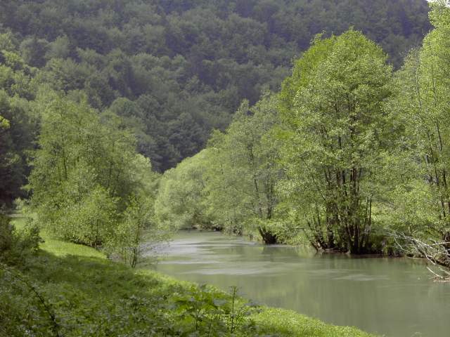 von der Sachsen- zur Stempfermhle: Wanderung an der Wiesent (Bild 63002)