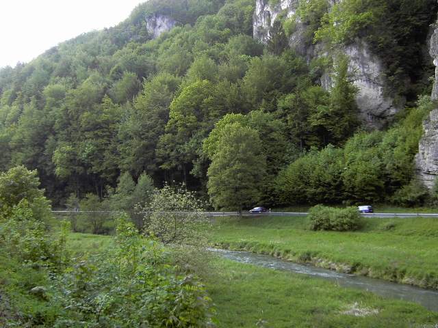 von der Sachsen- zur Stempfermhle: Wanderung an der Wiesent (Bild 63009)