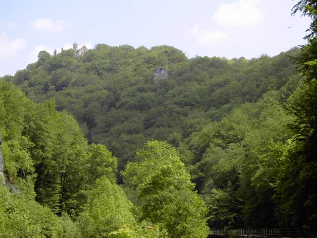 von der Sachsen- zur Stempfermhle: Wanderung an der Wiesent (Bild 63011)