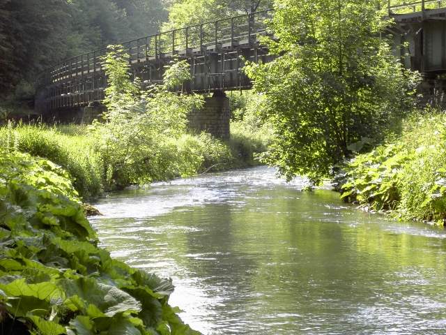 von der Sachsen- zur Stempfermhle: Die Hindenburg-Brcke westlich der Stempfermhle (Bild 63017)