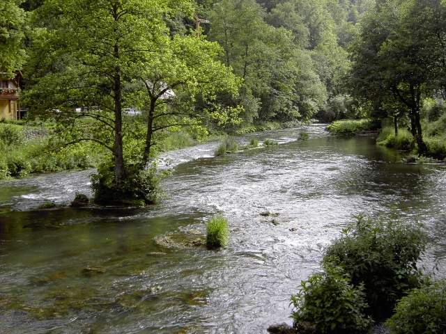 von der Sachsen- zur Stempfermhle: Die Wiesent bei der Stempfermhle (Bild 63023)