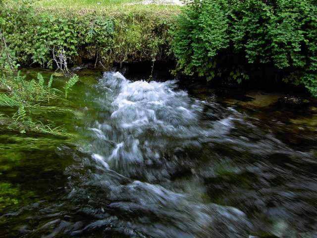 von der Sachsen- zur Stempfermhle: Nebenquelle zur Wiesent bei der Stempfermhle (Bild 63024)