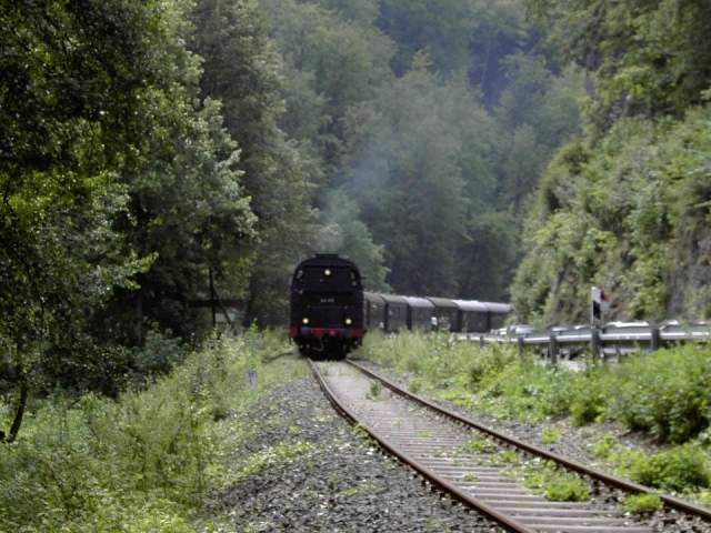 von der Sachsen- zur Stempfermhle: Dampflok der DFS kurz vor Behringersmhle (Bild 63032)