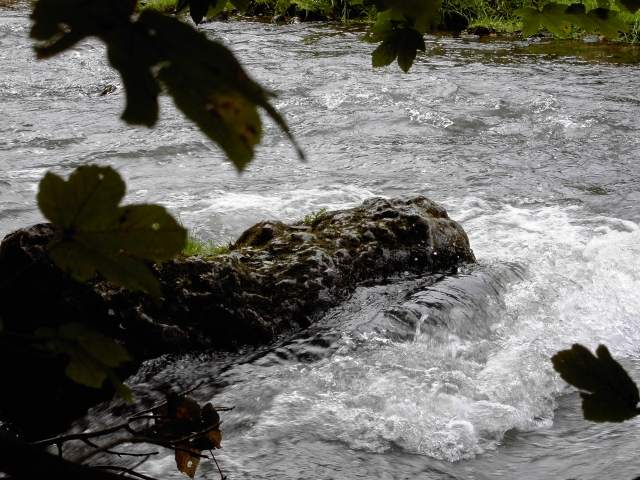 von Behringersmhle nach Waischenfeld: Wanderung an der Wiesent (Bild 64002)