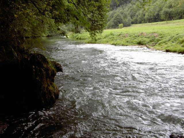 von Behringersmhle nach Waischenfeld: Wanderung an der Wiesent (Bild 64004)