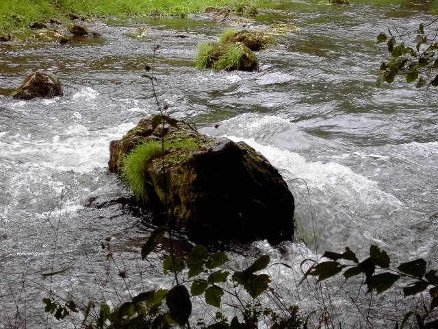 von Behringersmhle nach Waischenfeld: Wanderung an der Wiesent (Bild 64005)