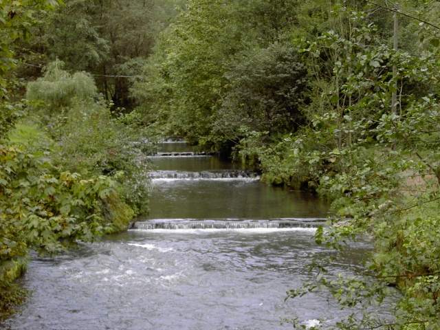 von Behringersmühle nach Waischenfeld: Die Wiesent bei der Schottersmühle (Bild 64009)