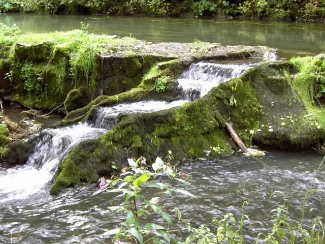 von Behringersmhle nach Waischenfeld: Die Wiesent bei der Schottersmhle (Bild 64013)