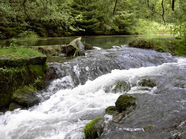 von Behringersmhle nach Waischenfeld: Die Wiesent bei der Schottersmhle (Bild 64014)