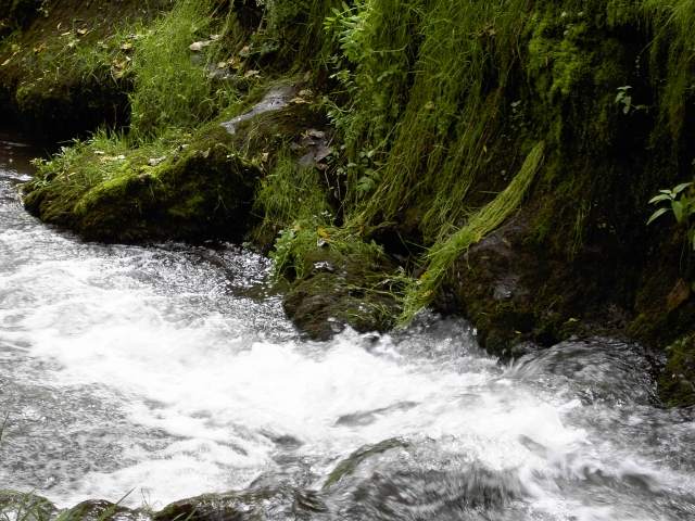 von Behringersmhle nach Waischenfeld: Die Wiesent bei der Schottersmhle (Bild 64017)