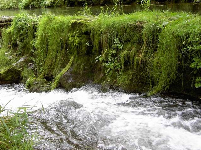 von Behringersmhle nach Waischenfeld: Die Wiesent bei der Schottersmhle (Bild 64018)