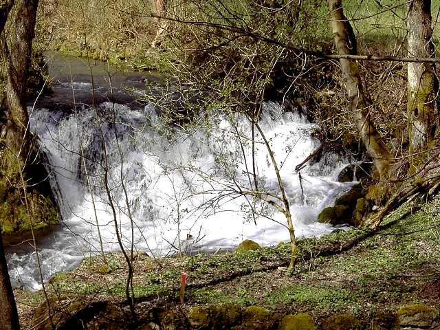 von Behringersmhle nach Waischenfeld: Mndung der Aufse in die Wiesent (Bild 64027)