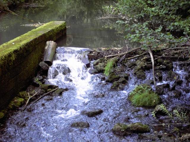 von Behringersmhle nach Waischenfeld: Die Wiesent bei Doos (Bild 64029)