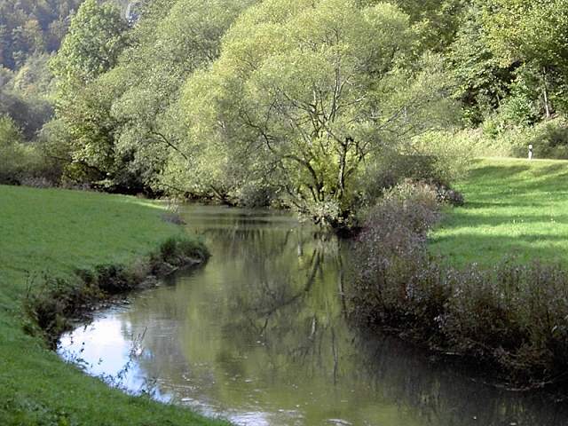 von Behringersmhle nach Waischenfeld: Wanderung an der Wiesent (Bild 64031)