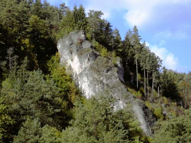 von Behringersmhle nach Waischenfeld: Wanderung an der Wiesent (Bild 64034)
