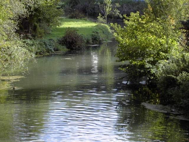 von Behringersmhle nach Waischenfeld: Die Wiesent bei Waischenfeld (Bild 64039)