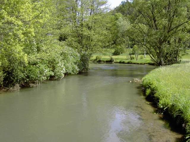 von Waischenfeld nach Hollfeld: Wanderung an der Wiesent (Bild 65009)