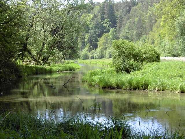 von Waischenfeld nach Hollfeld: Wanderung an der Wiesent (Bild 65010)