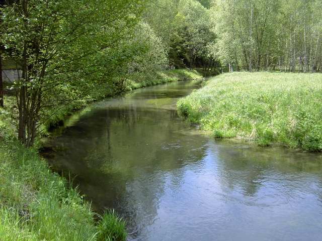 von Waischenfeld nach Hollfeld: Wanderung an der Wiesent (Bild 65012)