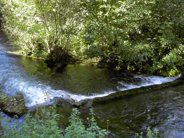 von Waischenfeld nach Hollfeld: Die Wiesent in Wadendorf (Bild 65016)