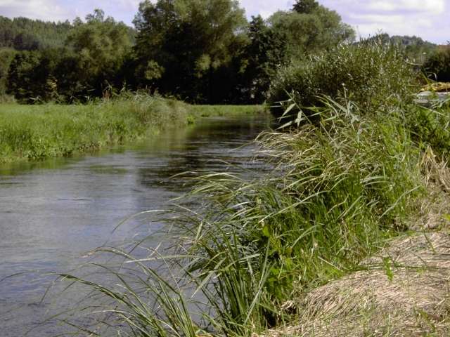 von Waischenfeld nach Hollfeld: Wanderung an der Wiesent von Wadendorf nach Stechendorf (Bild 65020)