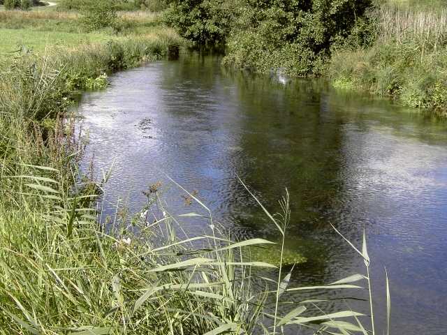 von Waischenfeld nach Hollfeld: Wanderung an der Wiesent von Wadendorf nach Stechendorf (Bild 65021)