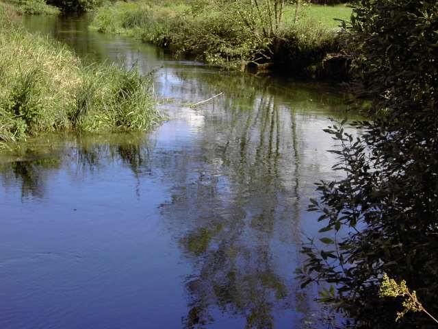 von Waischenfeld nach Hollfeld: Wanderung an der Wiesent von Wadendorf nach Stechendorf (Bild 65022)