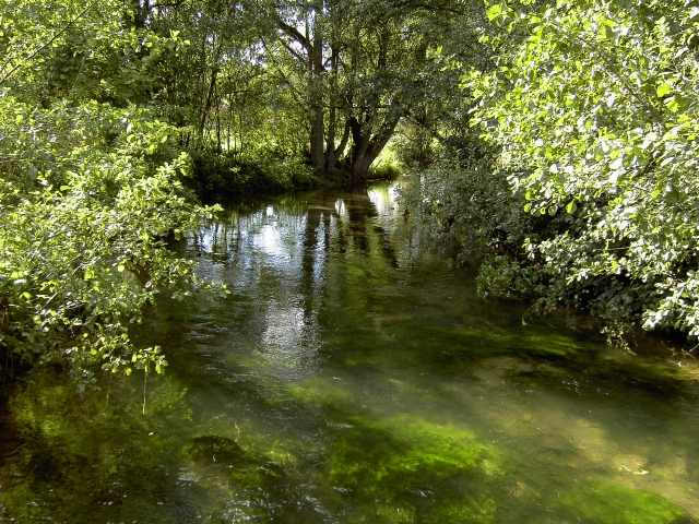 von Waischenfeld nach Hollfeld: Die Wiesent in Treppendorf (Bild 65032)