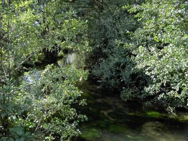 von Waischenfeld nach Hollfeld: Die Wiesent in Treppendorf (Bild 65033)