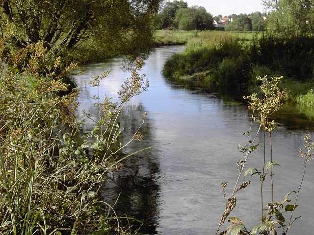 von Waischenfeld nach Hollfeld: Wanderung an der Wiesent von Treppendorf nach Hollfeld (Bild 65035)