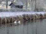 Die Wiesent im Winter