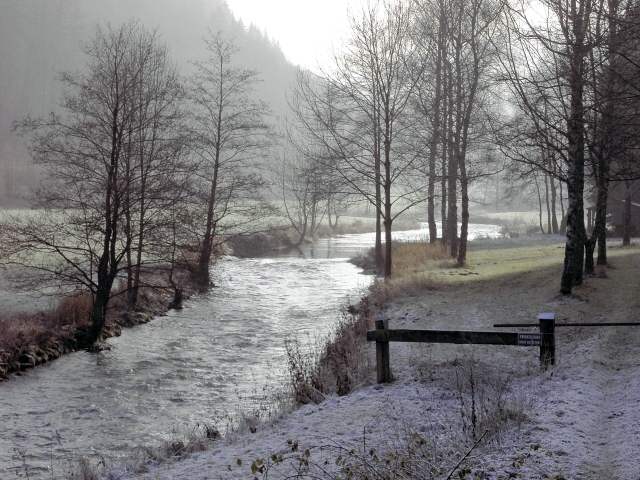 Die Wiesent im Winter: Wanderung an der Wiesent (Bild 66003)