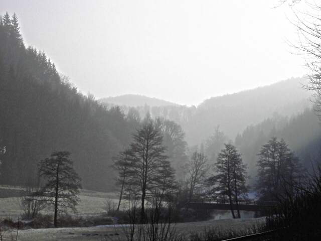 Die Wiesent im Winter: Wanderung an der Wiesent (Bild 66004)